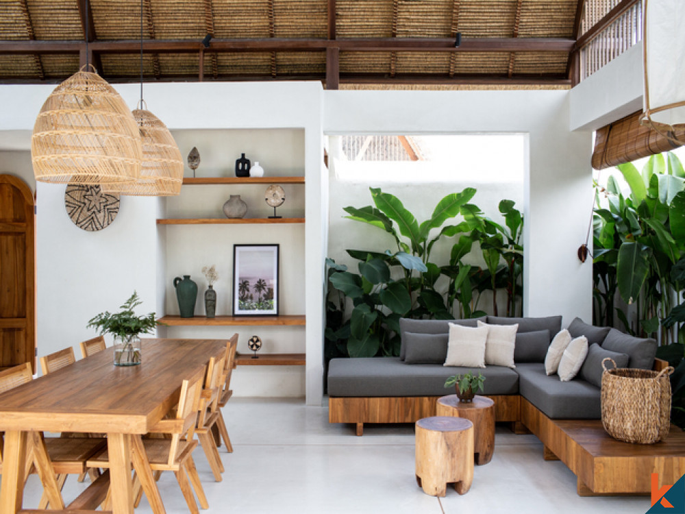 3 Bedroom Comfy and Spacious Villa in Canggu for Sale