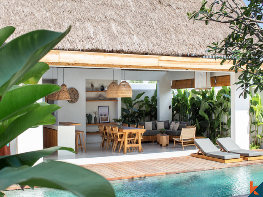 Villa confortable et spacieuse de 3 chambres à vendre à Canggu