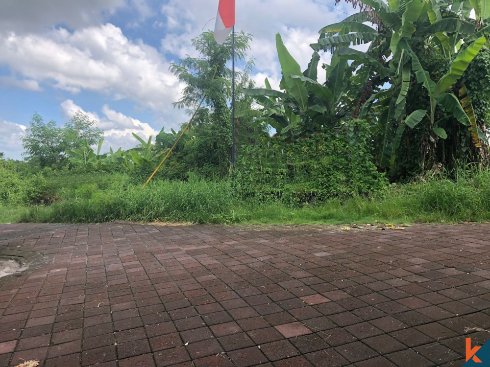 Beautiful and Rare Land in Canggu for Sale
