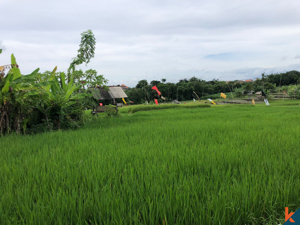 Beautiful and Rare Land in Canggu for Sale