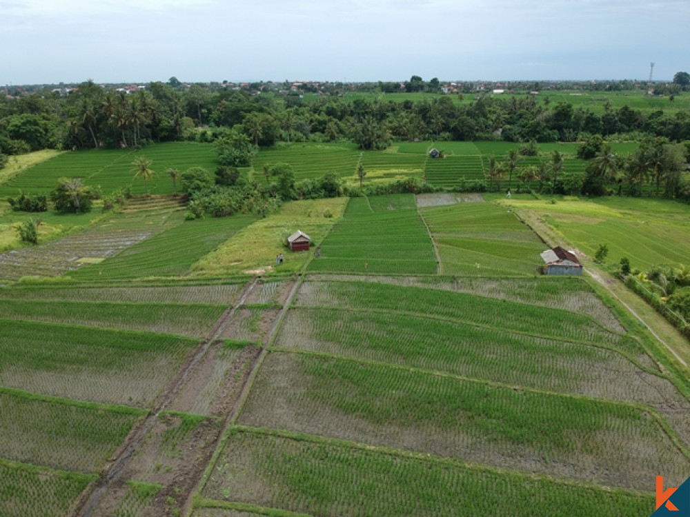 Tanah Hak Milik yang Menakjubkan di Nyanyi dengan Pemandangan Sawah Dijual