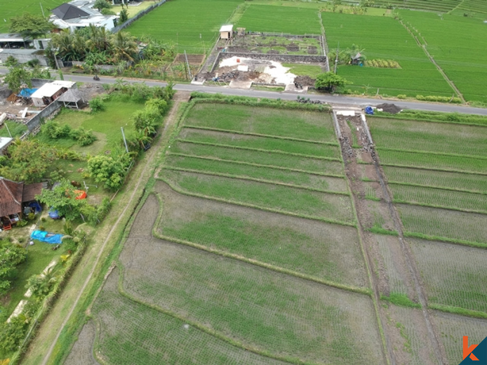 Tanah Hak Milik yang Menakjubkan di Nyanyi dengan Pemandangan Sawah Dijual
