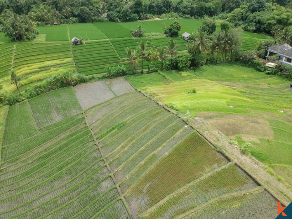 Superbe terrain en toute propriété à Nyanyi avec vue sur les rizières à vendre