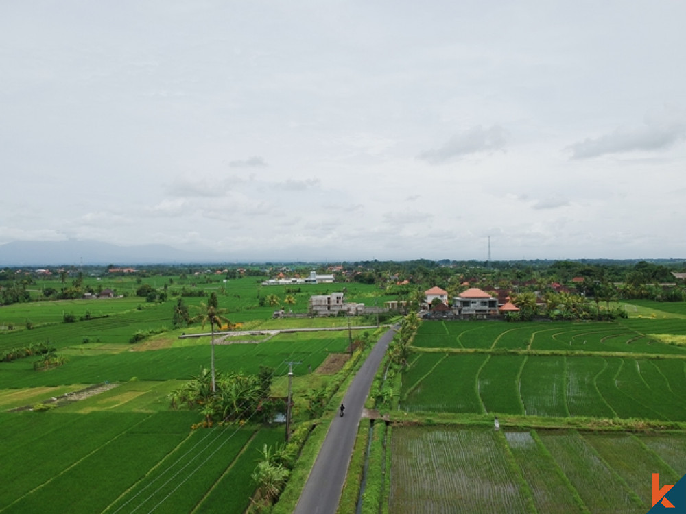 Ricefield View Land in Great Location Nyanyi for Sale