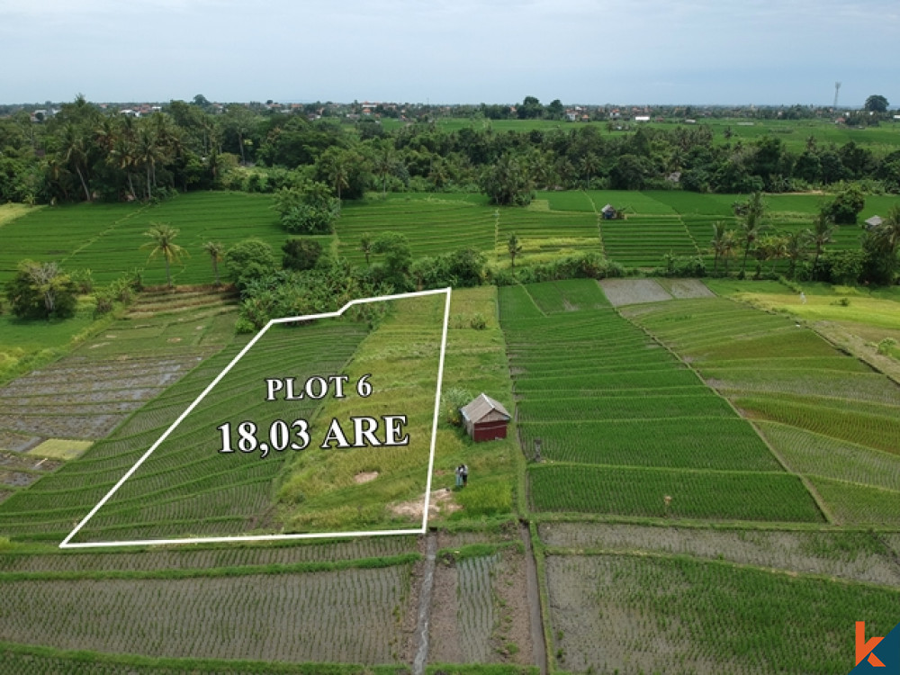 Ricefield View Land in Great Location Nyanyi for Sale