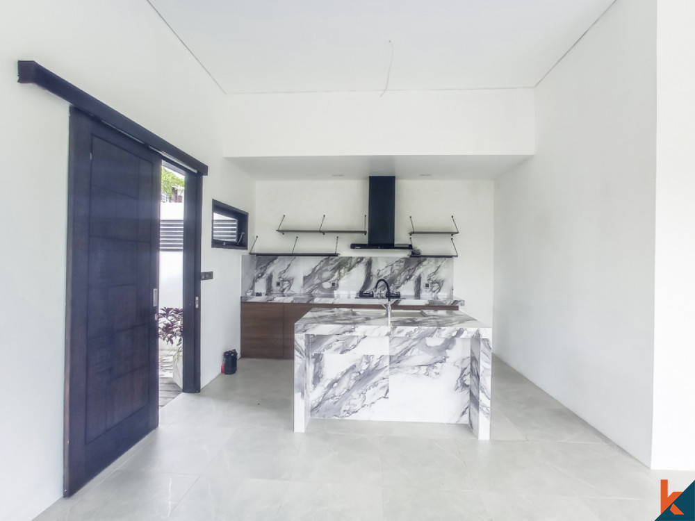 Brand New Two Bedrooms Beautiful Villa for Sale in Canggu