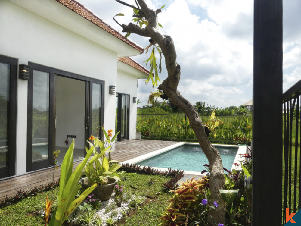 Belle villa neuve de deux chambres à vendre à Canggu