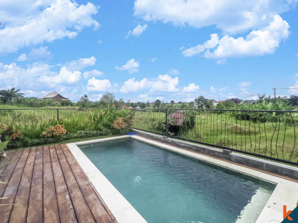 Brand New Two Bedrooms Beautiful Villa for Sale in Canggu