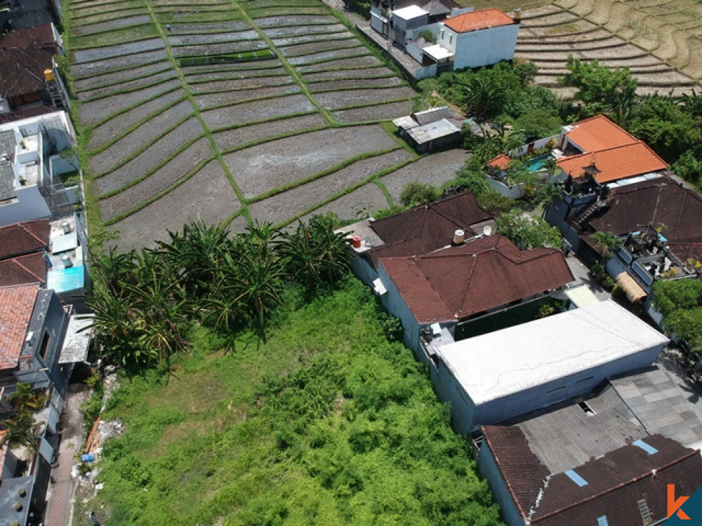 Luxurious Five Bedrooms Freehold Villa for Sale in Canggu