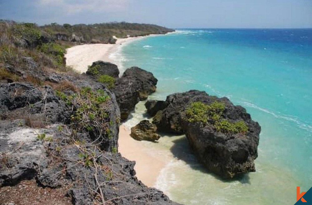 Dijual Tanah Tropis Tepi Pantai di Pulau Sumba