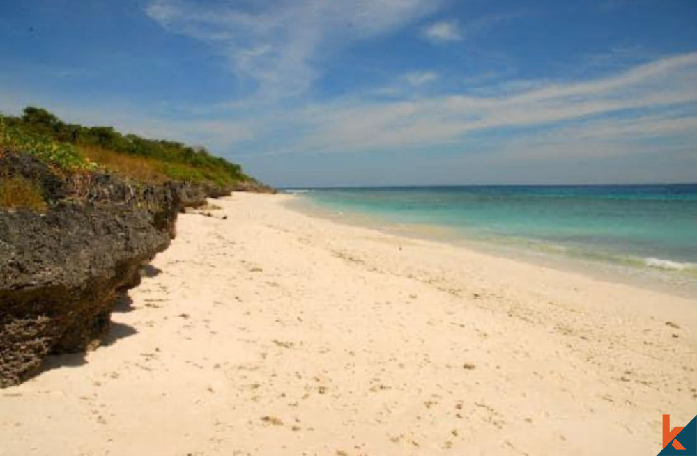 Tropical Beachfront Land in Sumba Island for Sale
