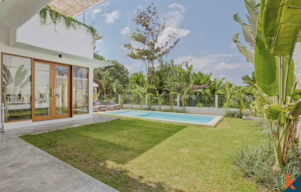 Charming Villa with rice field view for lease in Canggu