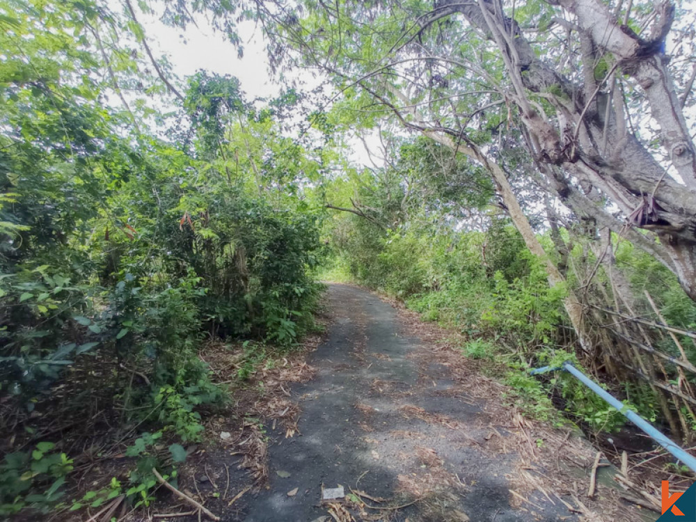Amazing Freehold Land Walking Distance to the Beach for Sale in Bukit