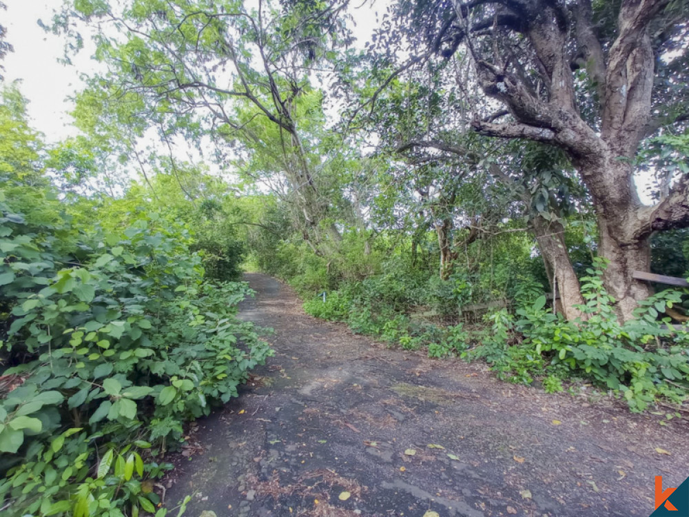 Amazing Freehold Land Walking Distance to the Beach for Sale in Bukit