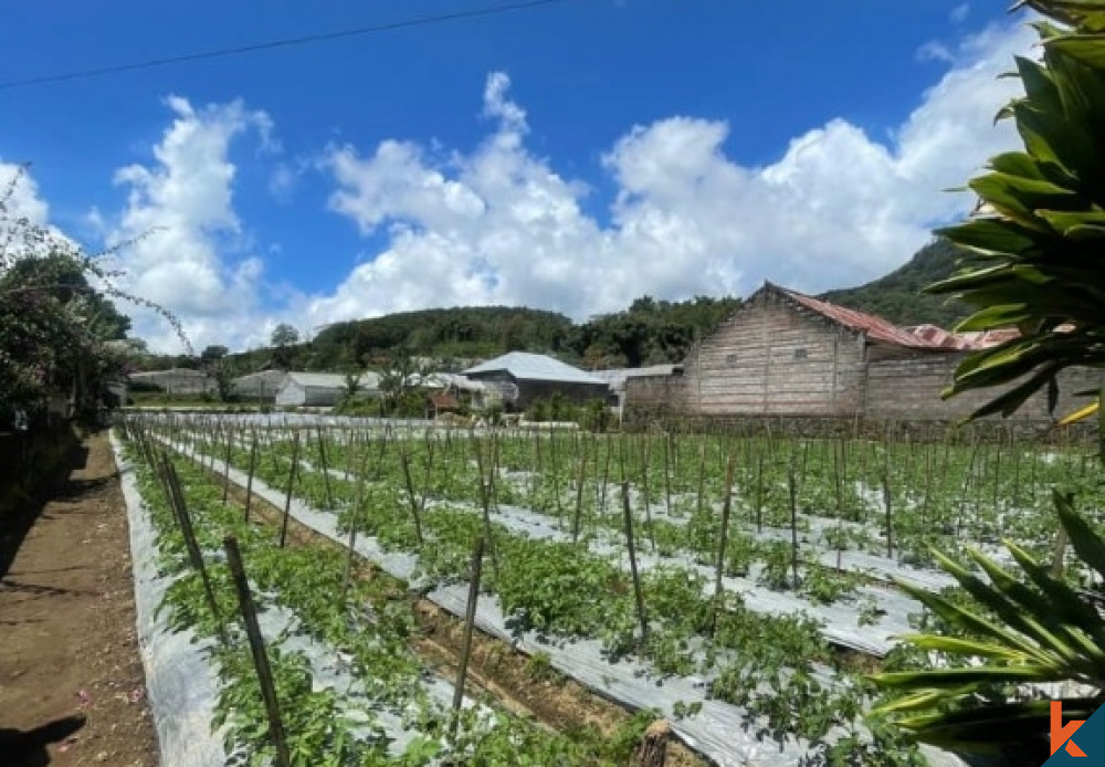 Terrain massif en toute propriété à Bedugul avec vue imprenable à vendre