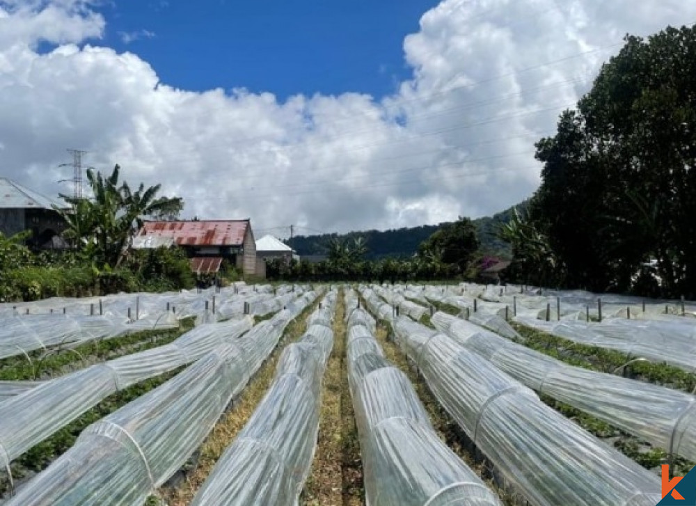 Freehold Land in Bedugul with Breathtaking View for Sale