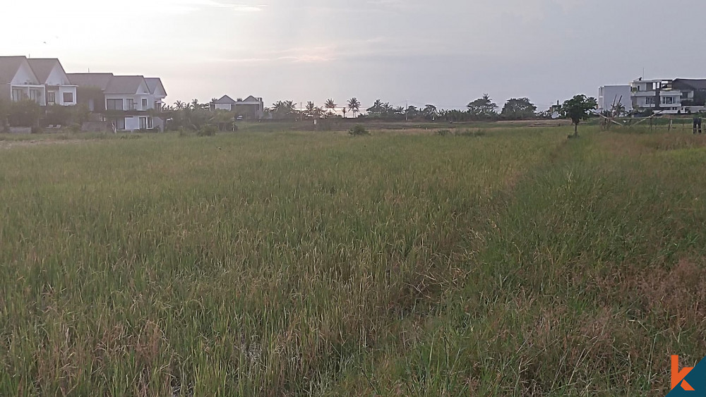 Great Lease Land in Cemagi Walking Distance to the Beach for Sale