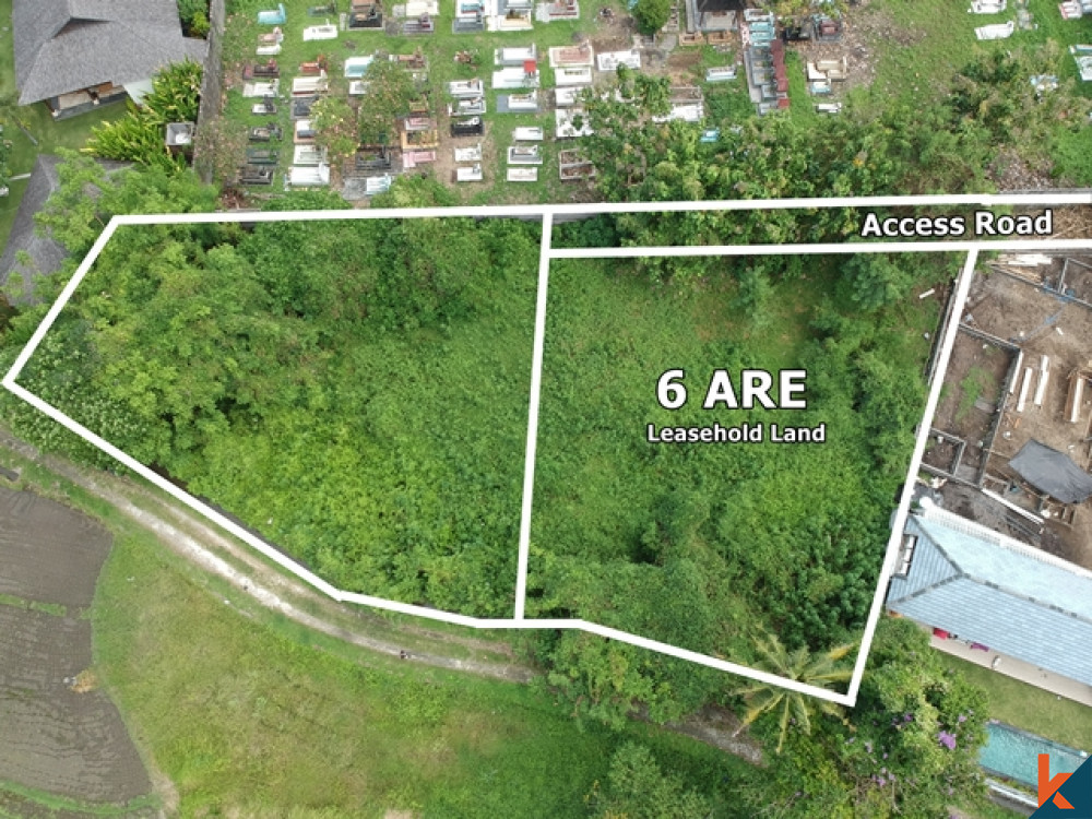 Great Value Leasehold Land in Padonan for Sale
