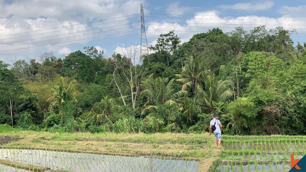 Dijual Tanah Indah di Tabanan Plus View