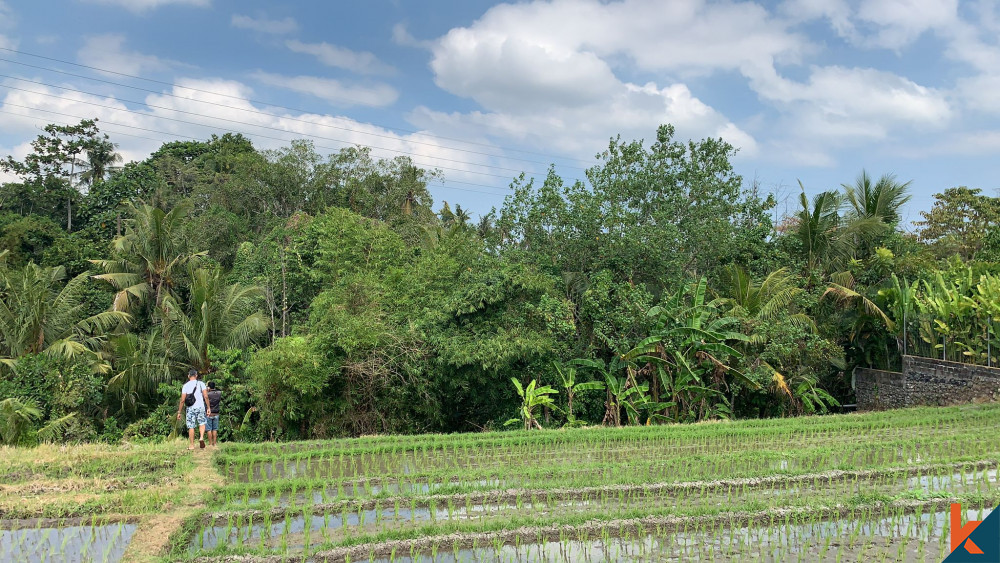 Dijual Tanah Indah di Tabanan Plus View