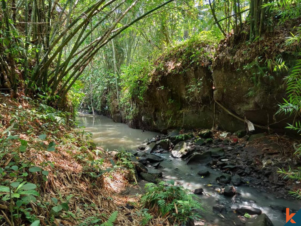 Beau Terrain à Tabanan Plus Vue à Vendre