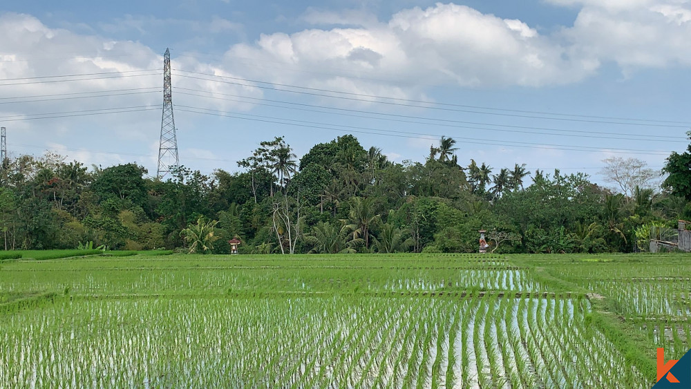 Dijual Tanah Indah di Tabanan Plus View