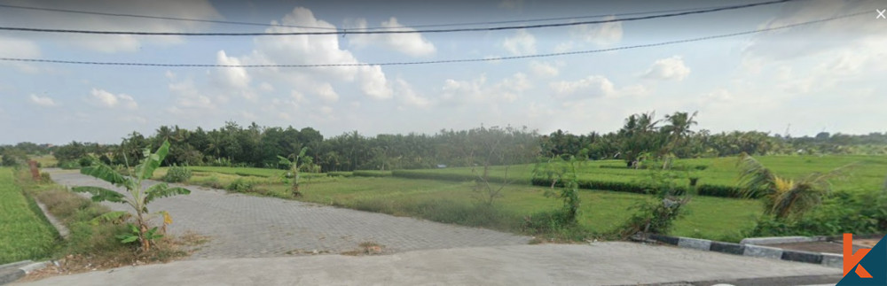 Reduced Price Beautiful Small Plot in Tanah Lot for Sale