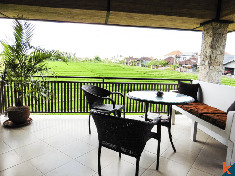 Freehold Three Apartment Building with Rice Field View for Sale in Berawa