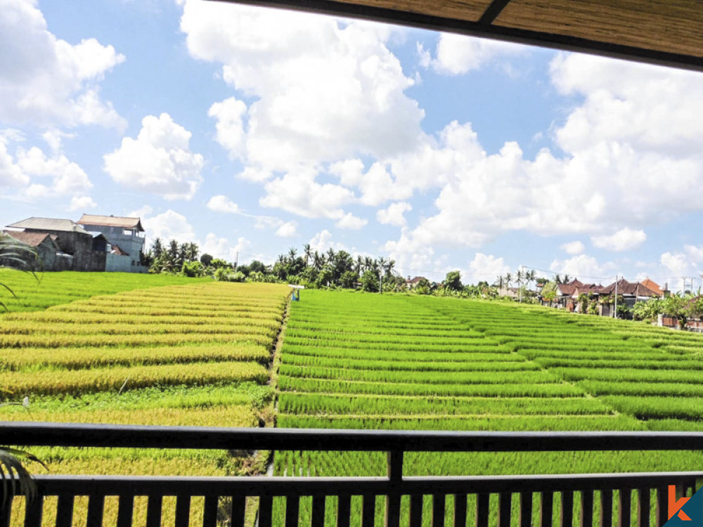 Freehold Three Apartment Building with Rice Field View for Sale in Berawa