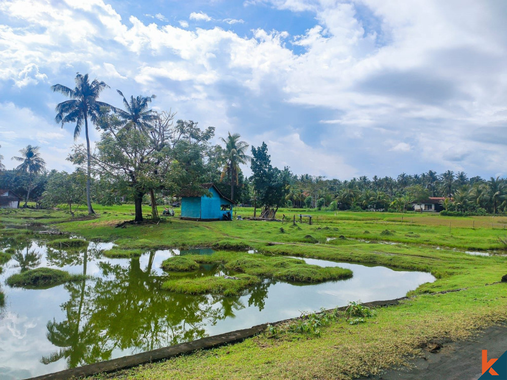 Amazing 30 Are Beacfront Land in Negara for Sale