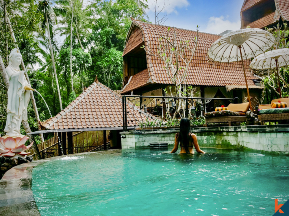 Boutique hôtel de luxe dans le Lumbung balinais traditionnel à vendre à Ubud