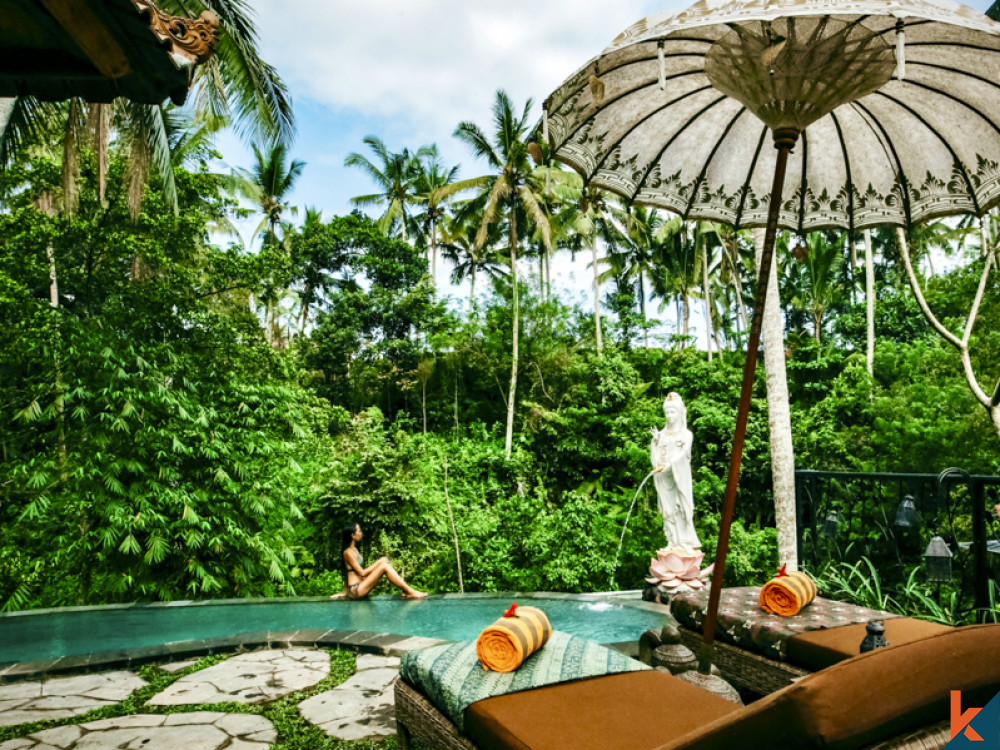 Boutique hôtel de luxe dans le Lumbung balinais traditionnel à vendre à Ubud