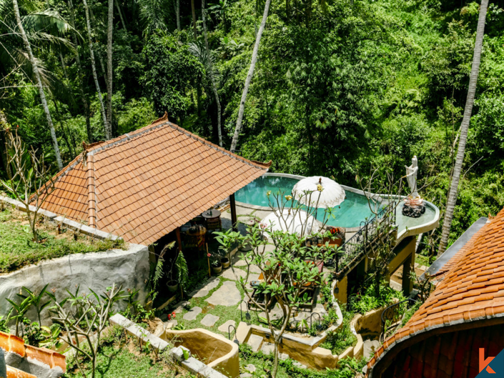 Boutique hôtel de luxe dans le Lumbung balinais traditionnel à vendre à Ubud