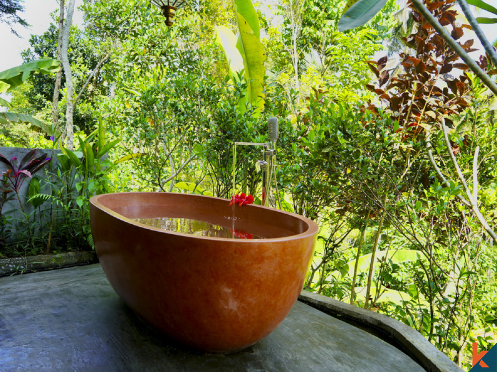 Boutique hôtel de luxe dans le Lumbung balinais traditionnel à vendre à Ubud