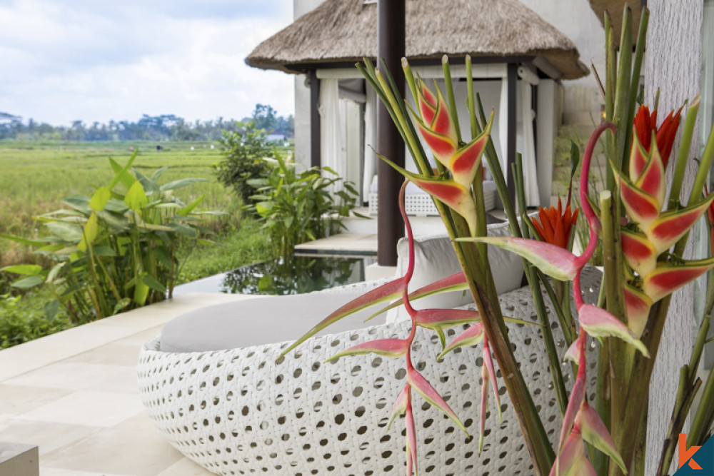 Villa Leasehold Indah di Ubud dengan Pemandangan Sawah