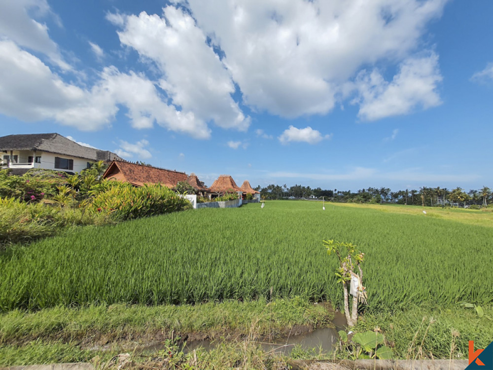 Kavling Leasehold Besar Dekat Pantai dengan Pemandangan Laut