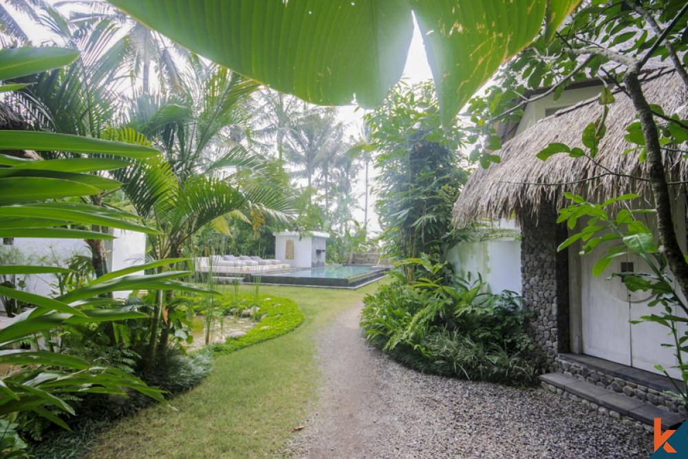 Tropical Three Bedrooms Villa for Lease in Ubud