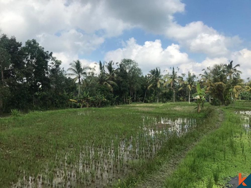 RESIDENTIAL LAND WITH RICE FIELD VIEW IN UBUD FOR SALE