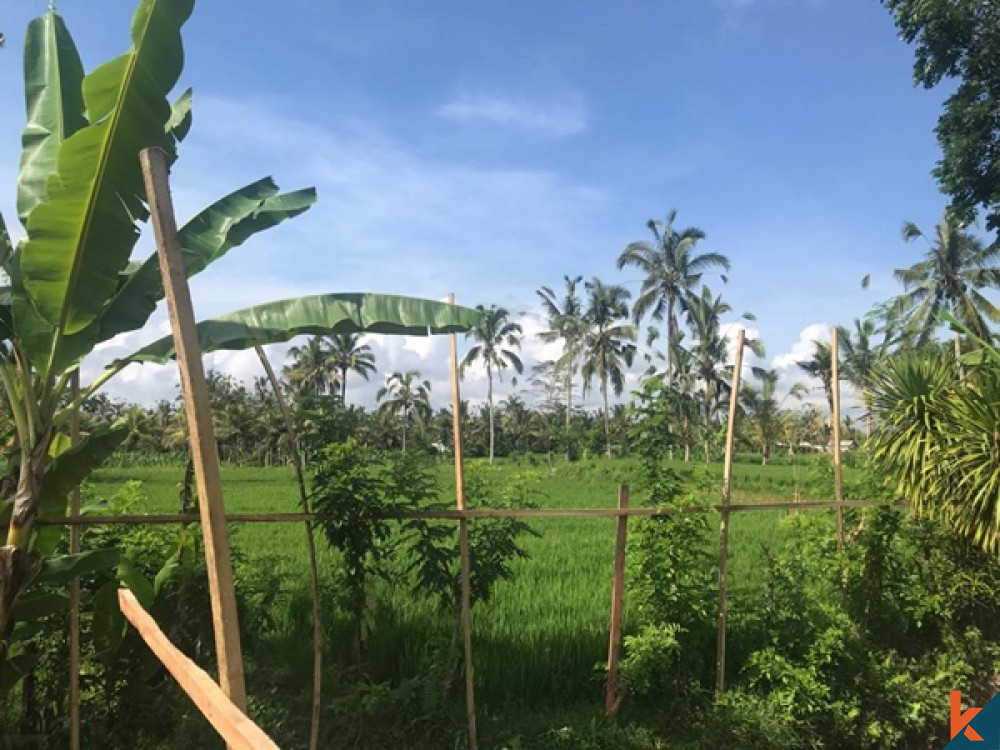 RESIDENTIAL LAND WITH RICE FIELD VIEW IN UBUD FOR SALE