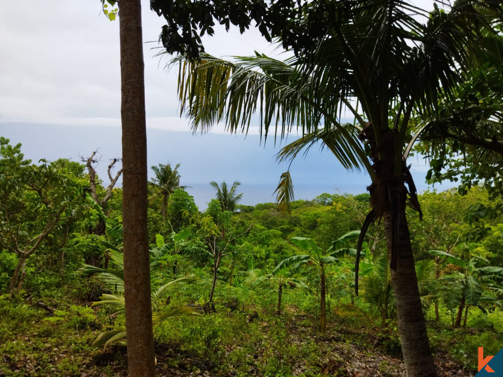 Cliff Top Land with Breathtaking View in Nusa Penida for Sale
