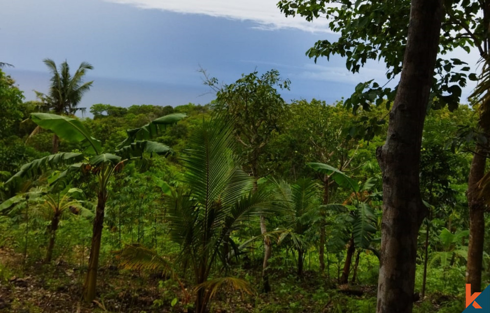 Cliff Top Land with Breathtaking View in Nusa Penida for Sale