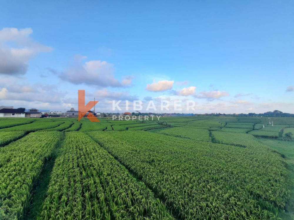 Vila Baru Dua Kamar Tidur di sekitar dengan pemandangan sawah di Pererenan