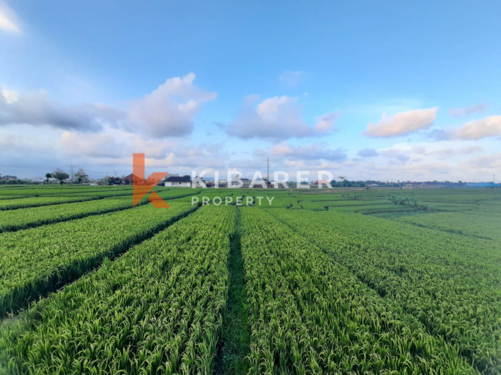 Vila Baru Dua Kamar Tidur di sekitar dengan pemandangan sawah di Pererenan