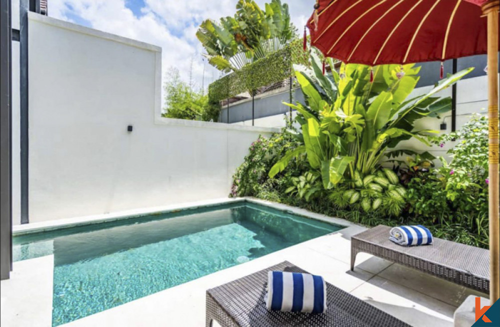 Charmant appartement d'une chambre à louer à Canggu