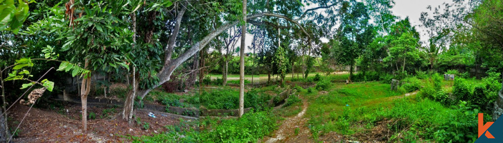 Amazing Shape Freehold Land in Padonan for Sale