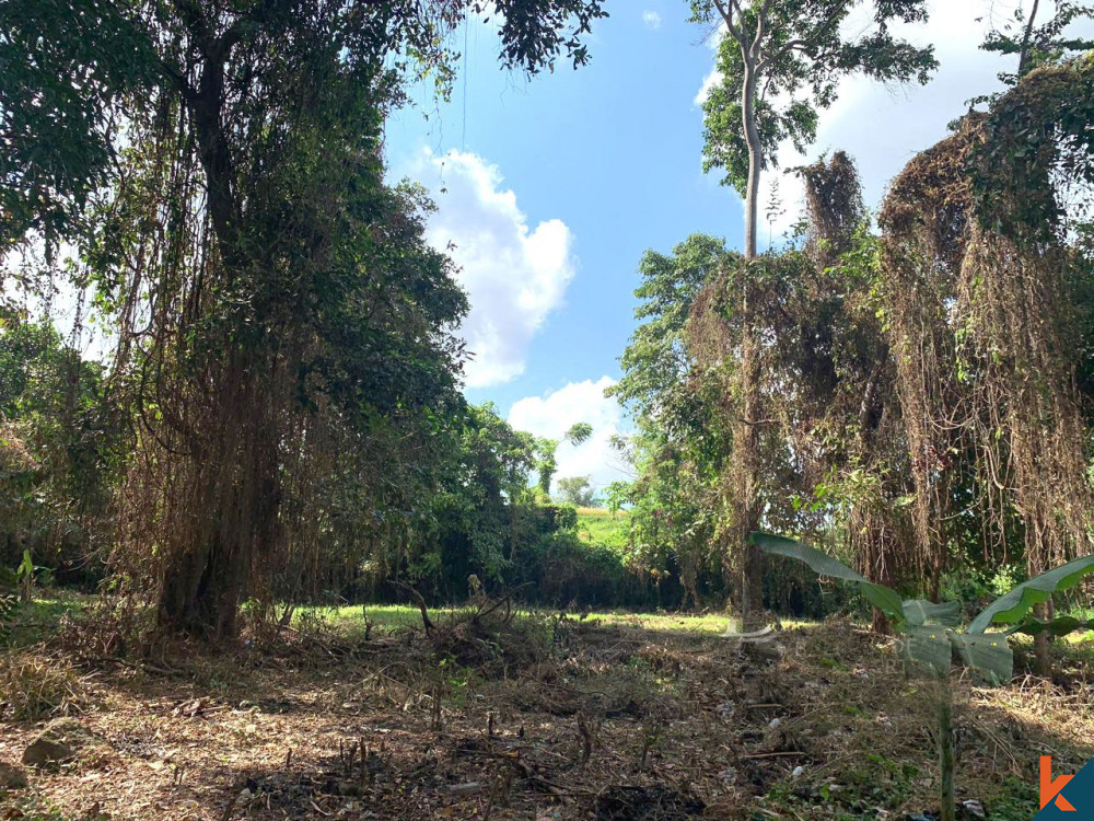 Amazing Shape Freehold Land in Padonan for Sale