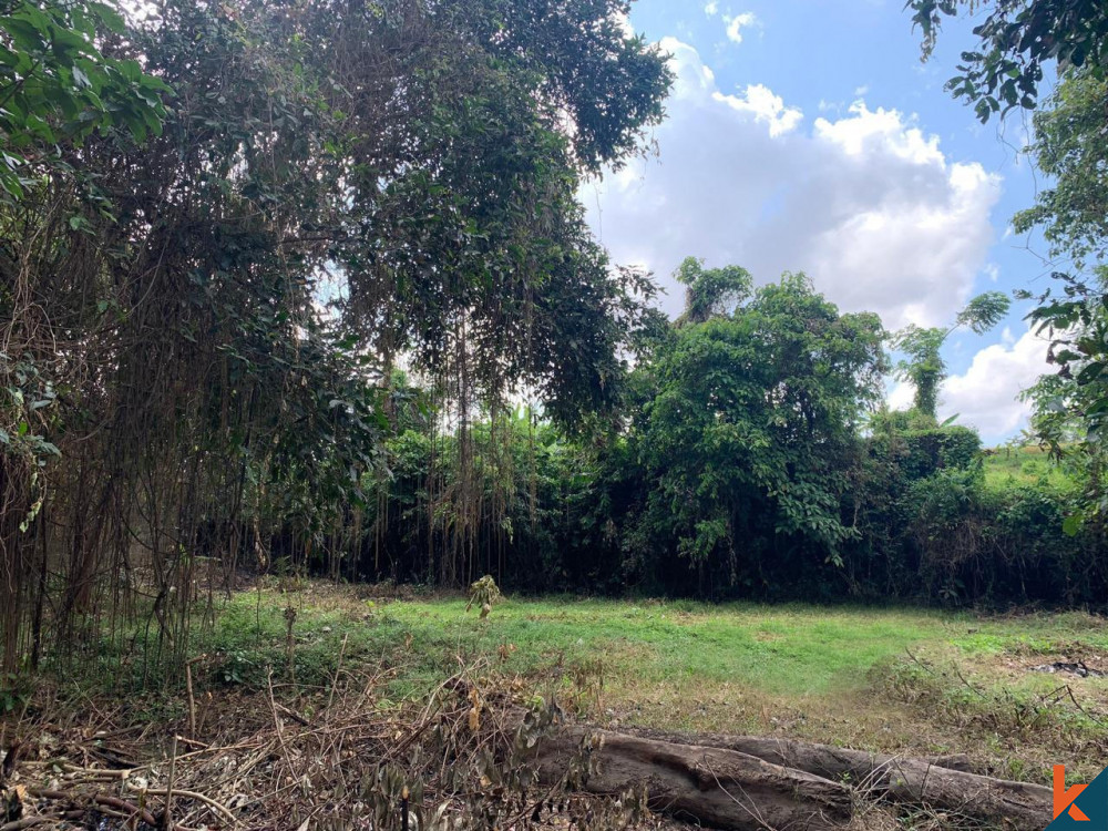 Amazing Shape Freehold Land in Padonan for Sale