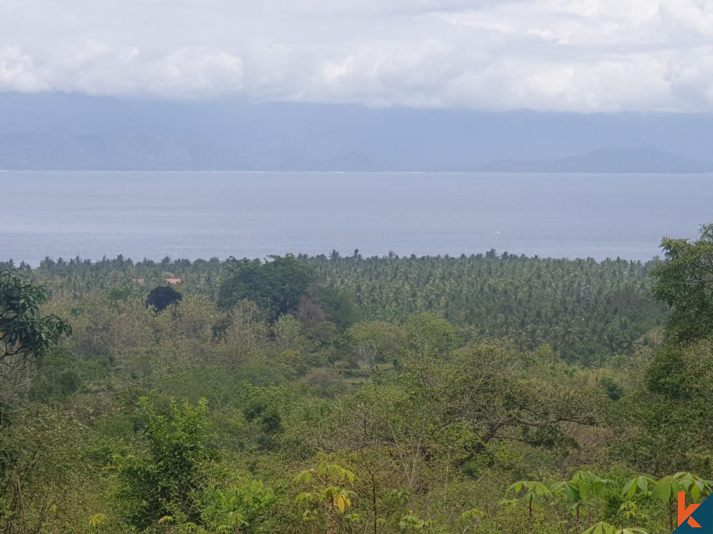 Incredible Cliff Top Land in Nusa Penida for Sale