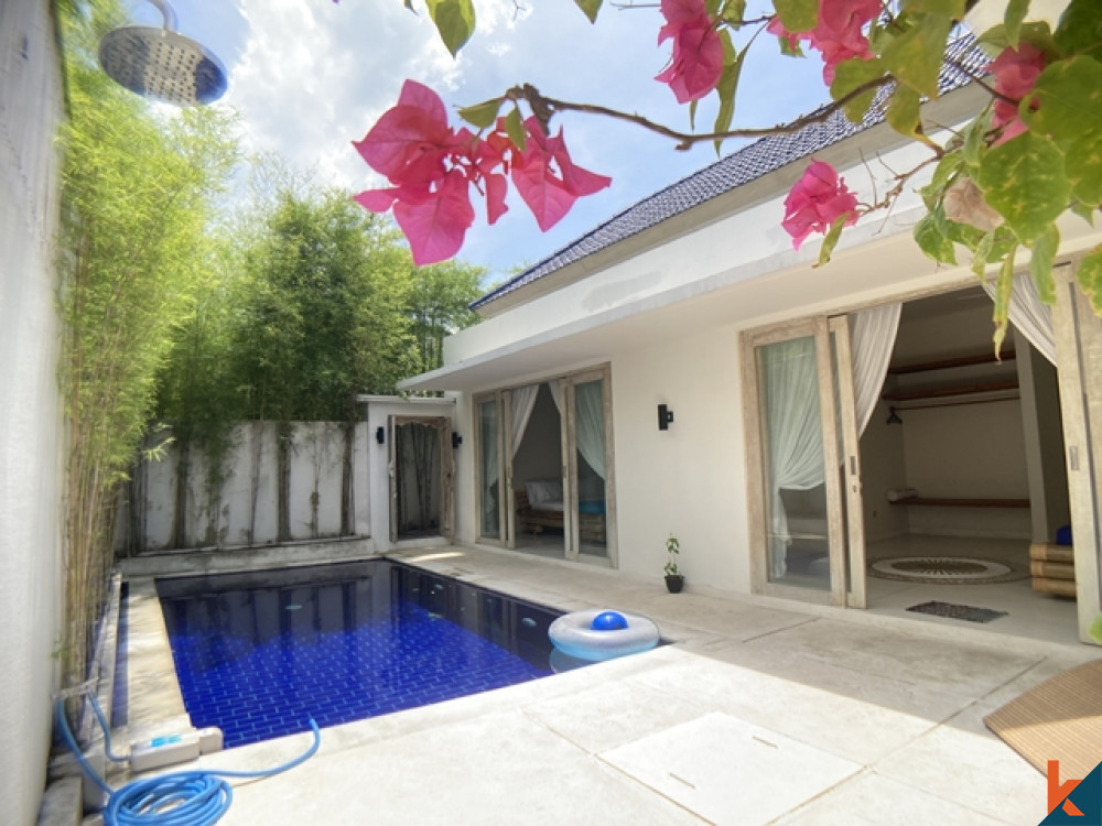 Belle villa neuve de 2 chambres avec vue sur les rizières à Kerobokan à vendre