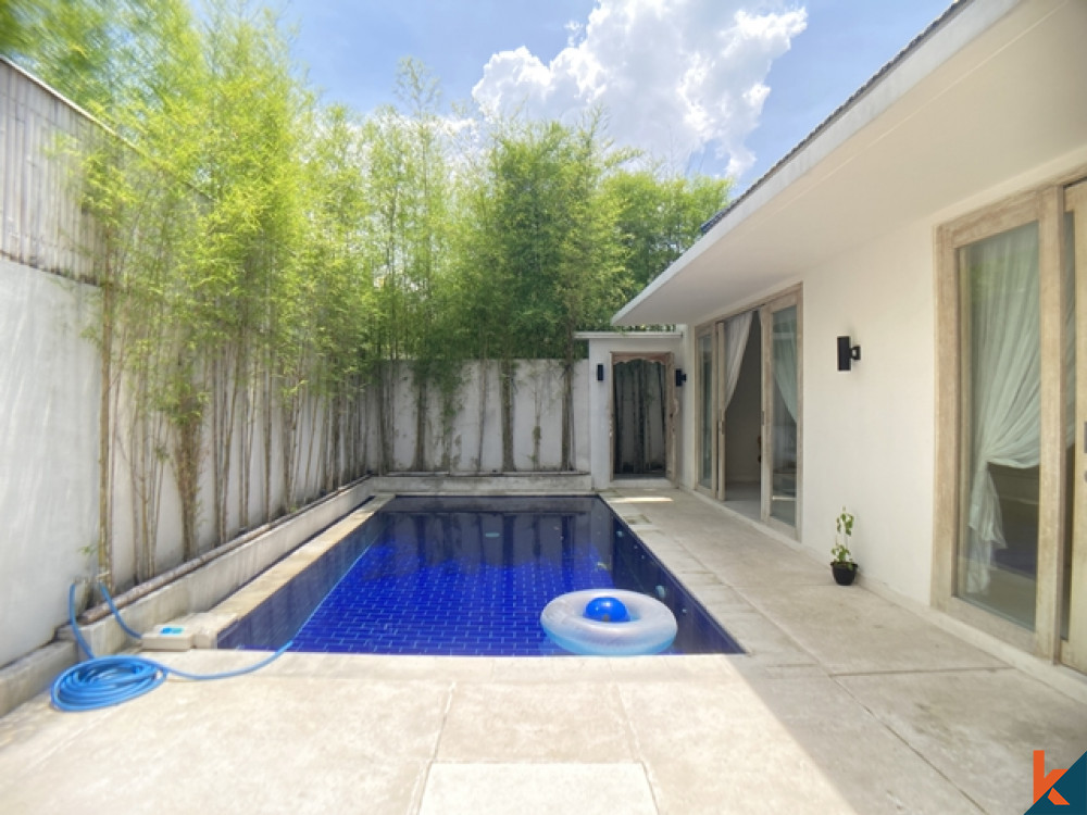 Brand New Beautiful 2 Bedroom Villa with Ricefield View in Kerobokan for Sale